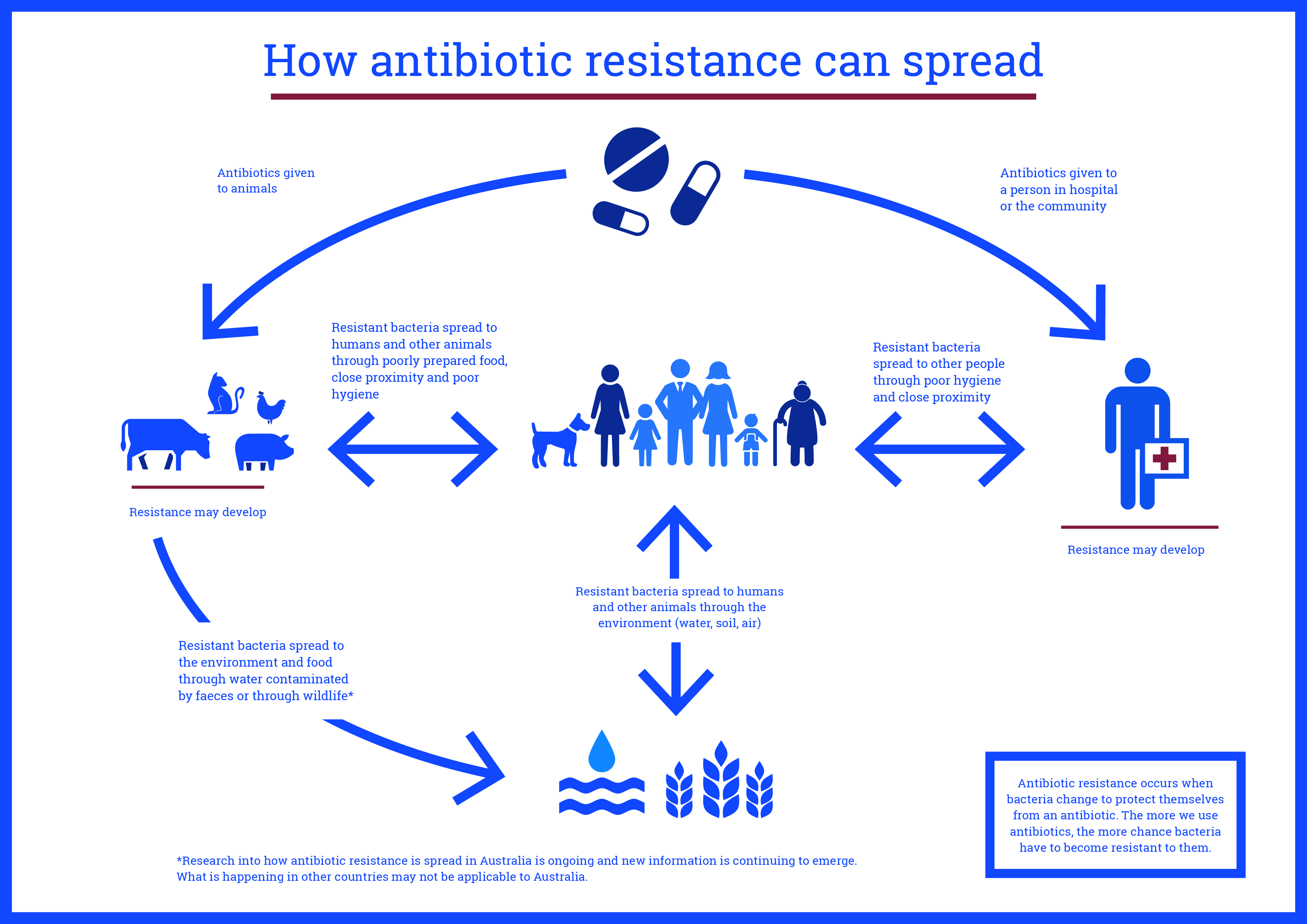 Infographic How Antibiotic Resistance Can Spread Antimicrobial 